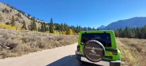 nampa idaho poop scooping