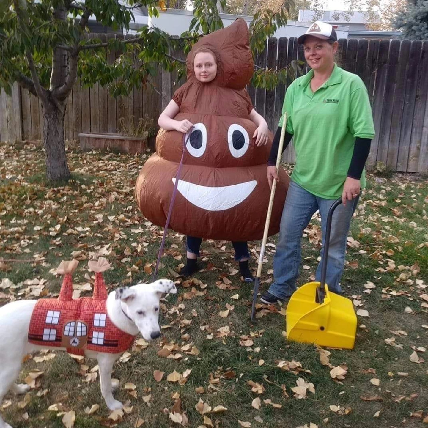 residential poop scooping in Boise, Idaho