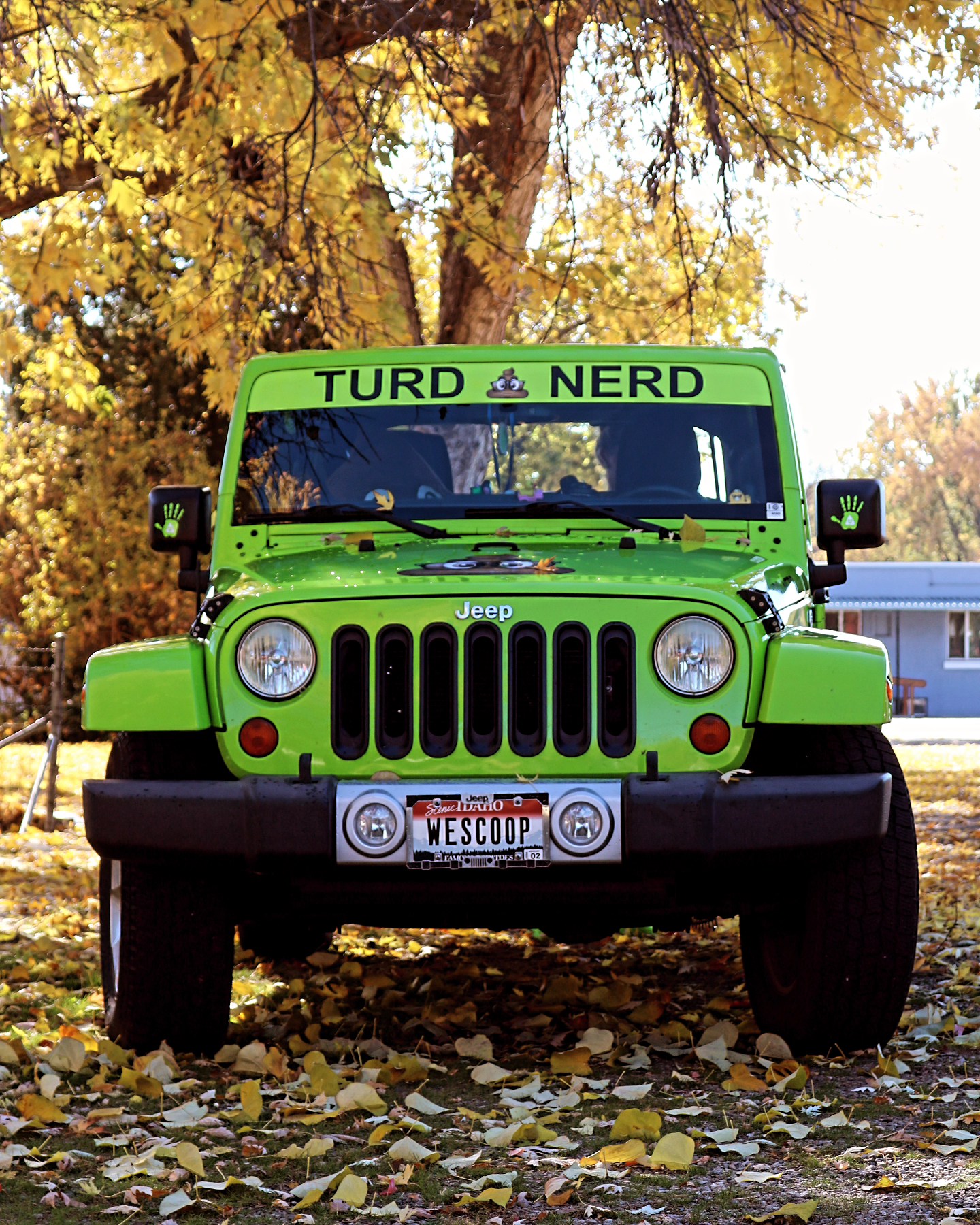 Nampa, Idaho Poop Scooping