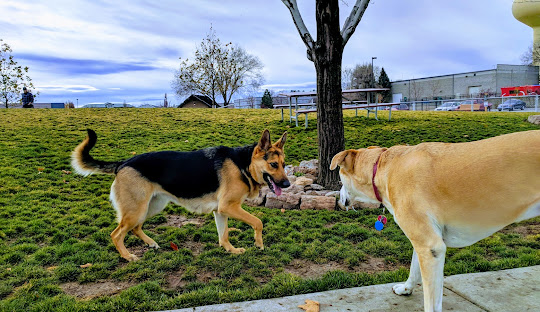 Storey Bark Park Meridian Idaho