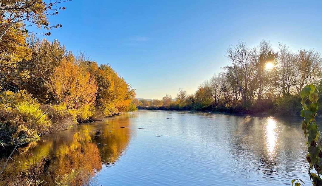 Star, Idaho Poop Scooping