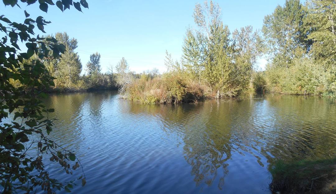 Eagle Island State Park, Poop Scooping